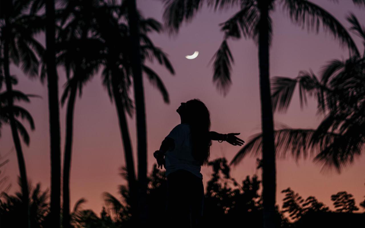 Oaga Art Maldives 5* Eriyadu